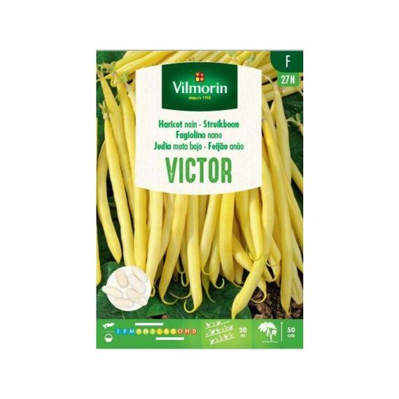 Vilmorin Struikboon Victor 100G F