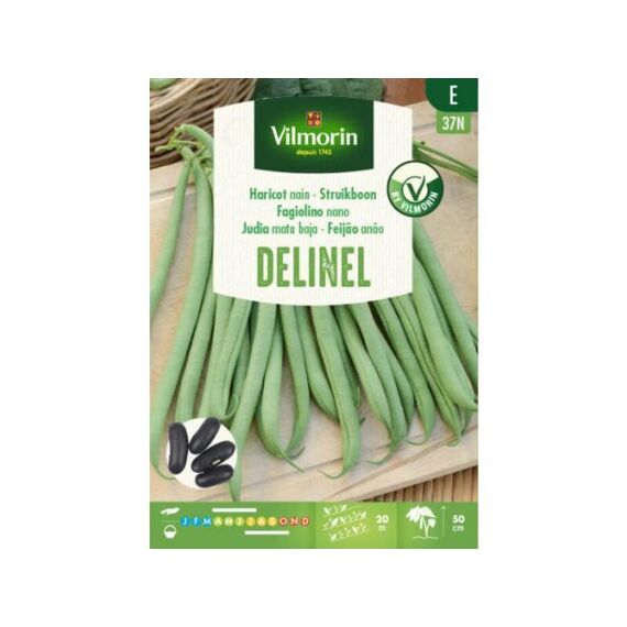 Vilmorin Struikboon Delinel 125G E