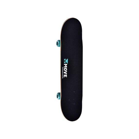 Skateboard 31