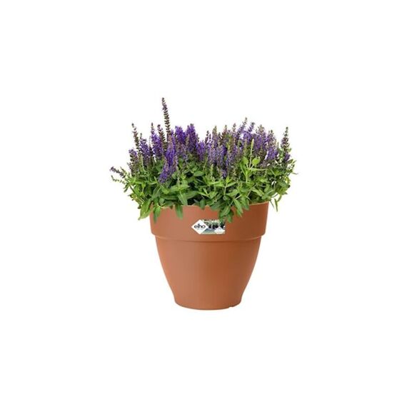 Elho Vibia Campana Rond 25 cm Terracotta