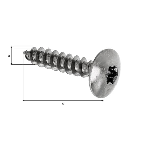 Hout Schroef Maxi-Fix Rvs6X30 Sb4St