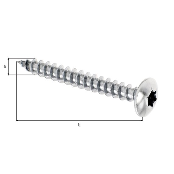 Hout Schroef Maxi-Fix Rvs6X50 Sb4St