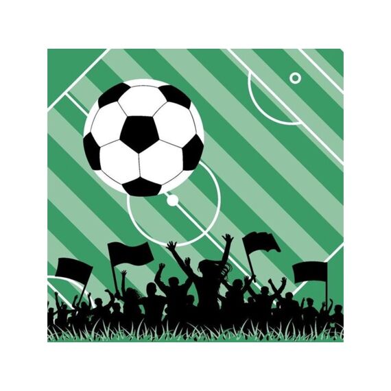 Duni Serviet 33X33Cm 20 St. Football Fun
