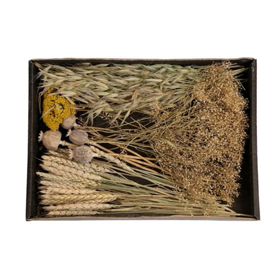 Dried Flowers Mix Tray 38X26X5Cm Natural