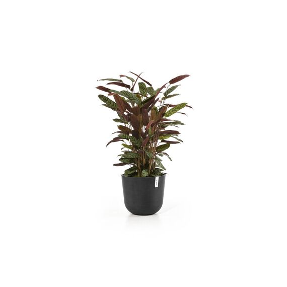 Ecopots Bloempot Oslo Donker Grijs 35 Rond