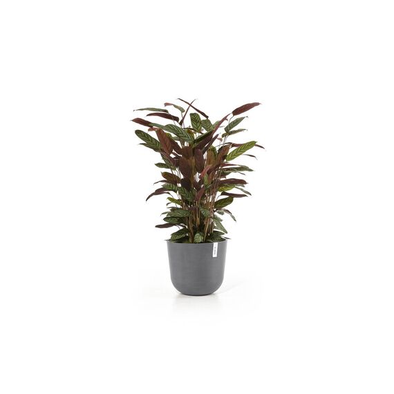 Ecopots Bloempot Oslo Grijs 35 Rond