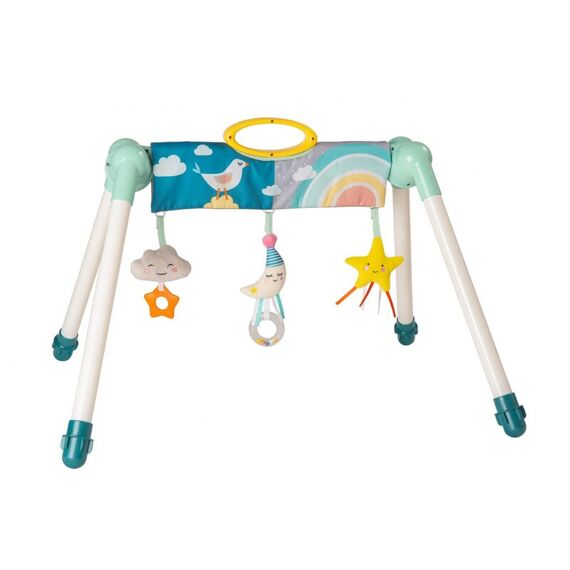 Taf Toys Mini Moon Take To Play Babygym