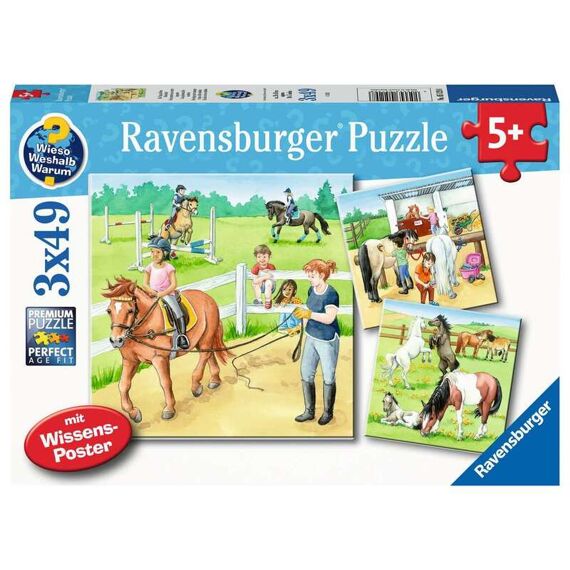 Ravensburger Puzzel 3X49 Stuks Een Dag Op De Manege