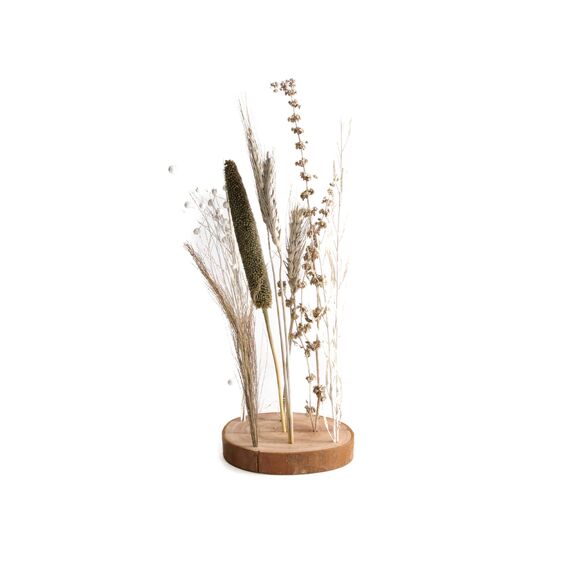 Gedroogde Bloem Nature Met Houten Basis 15X30Cm