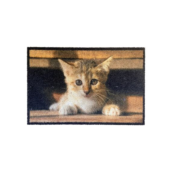 Trendy Brush 44X67Cm Kitten Met Ruiter