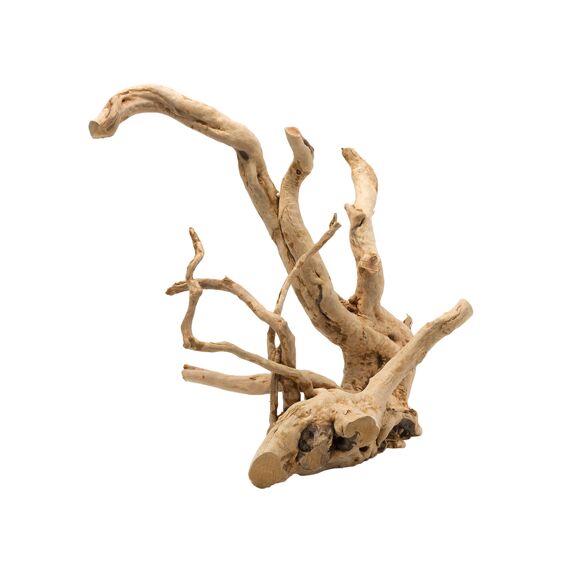 Driftwood Gepolijst L - 45-58Cm Bruin