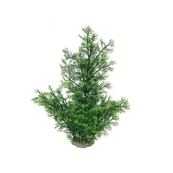 Phoenix Xl - 56Cm Groen