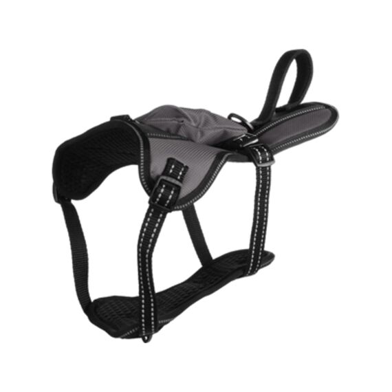 Harnas Kelso Grijs 28-50Cm 15Mm