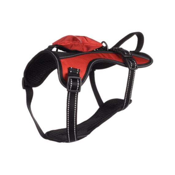 Harnas Kelso Rood 30-60Cm 20Mm