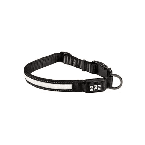 City Paris Halsband Led Nylon M - 34-45Cm/25Mm Zwart