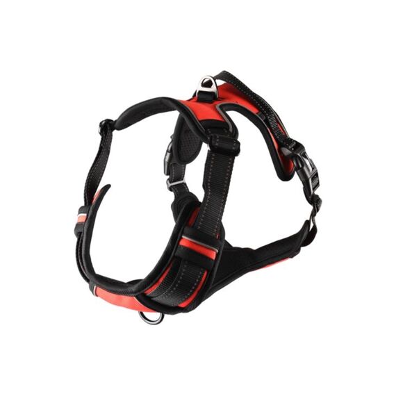 Harnas Balou Rood L 60-85Cm*25Mm