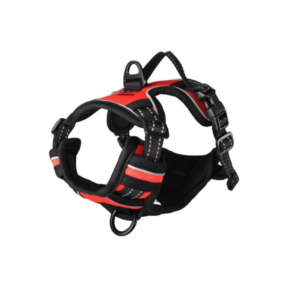 Harnas Balou Rood S 40-55Cm*20Mm