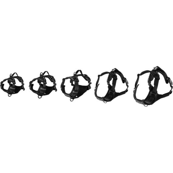 Harnas Balou Zwart S 40-55Cm*20Mm