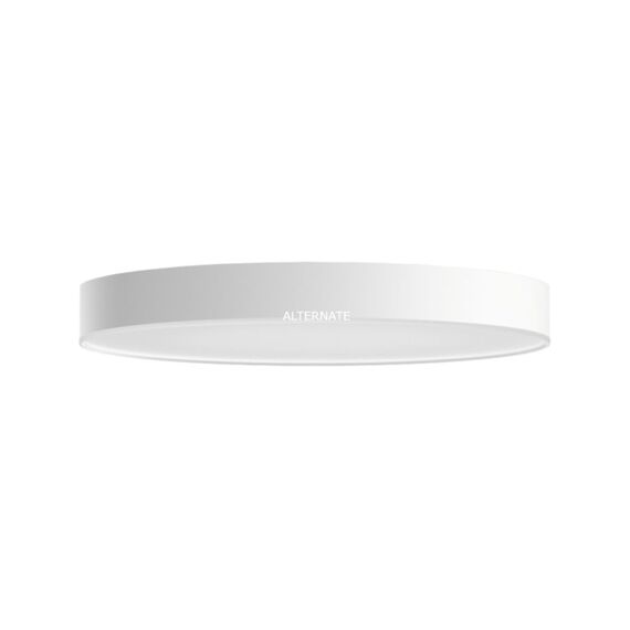 Philips Hue Enrave Plafondlamp Warm Tot Koelwit Licht Wit 55Cm 1 Dimmer Switch