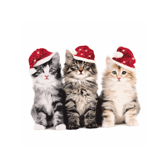 Duni Serviet 33X33Cm 20 Stuks Xmas Cats