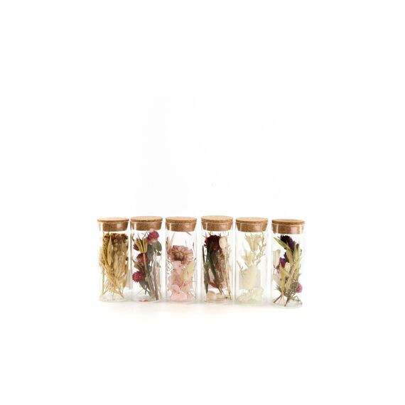 Tube Dried Flowers Ø5X12.5Cm Mixed 6 Assortimenten Prijs Per Stuk