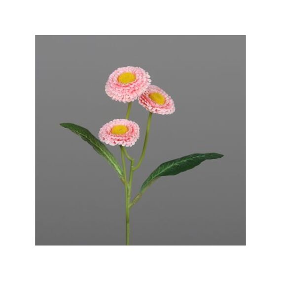 Bellis Pick 24Cm Peach