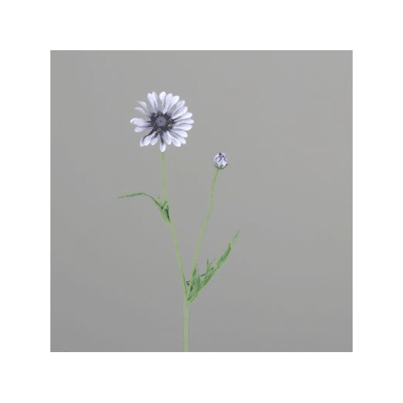 Margerite 57Cm Lavender