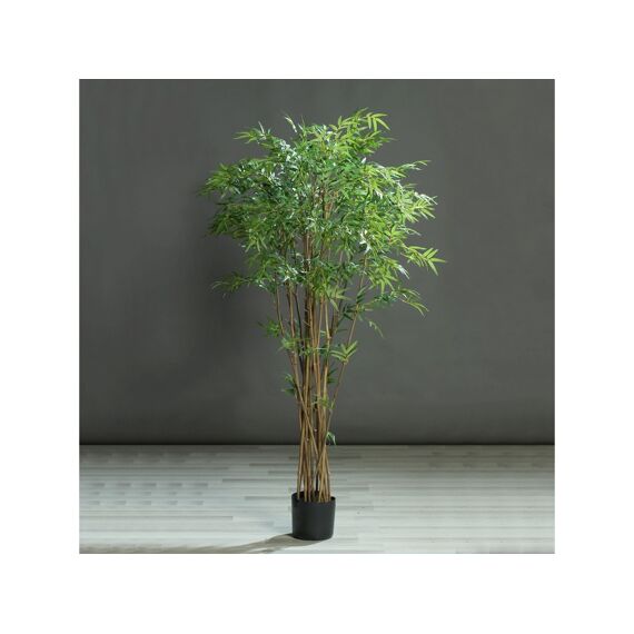 Bamboo Tree In Pot 180Cm