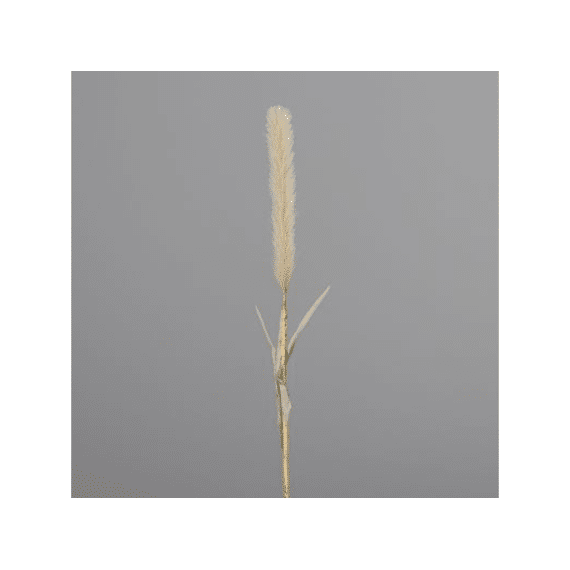 Grass 79Cm Sand