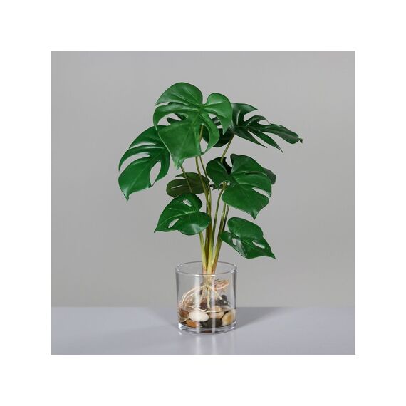 Monstera In Glas 38Cm