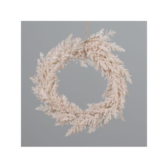 Pampas Grass Wreath With Hanger Rosee