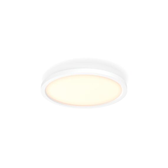 Aurelle Hue Panel Rd 21W Ceiling Lamp