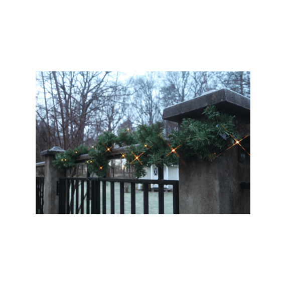 Eglo Guirlande-Led Groen