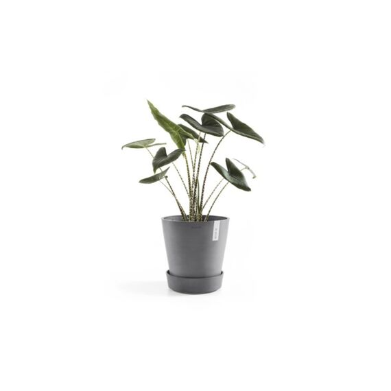 Ecopots Onderschotel Wielen Rond 40 cm Grijs