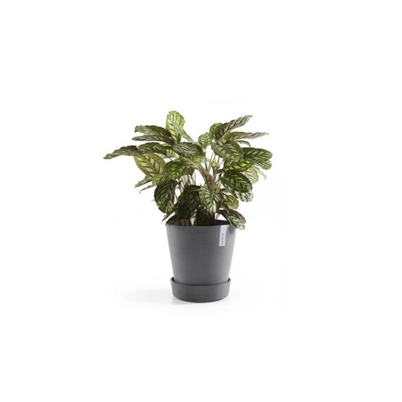 Ecopots Onderschotel Wielen Rond 40 cm Grijs