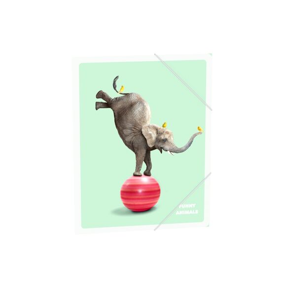 Funny Animals Elastomap A4