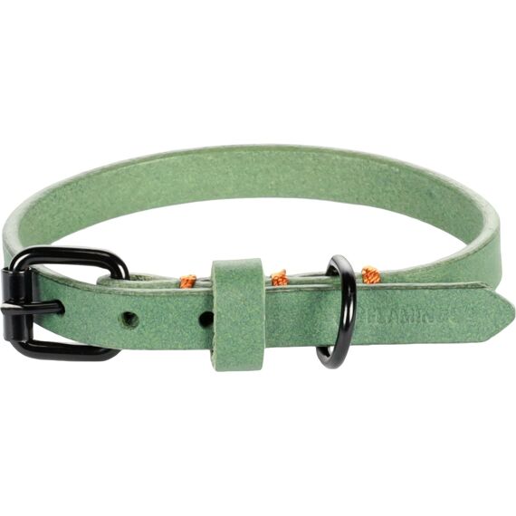 Halsband Leano Groen 38-48Cm 25Mm