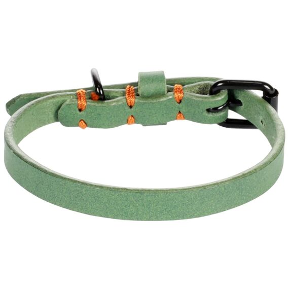 Halsband Leano Groen 38-48Cm 25Mm