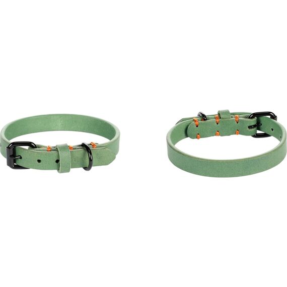 Halsband Leano Groen 38-48Cm 25Mm