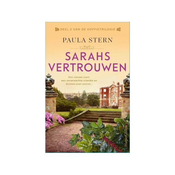 Paula Stern Sarahs Vertrouwen