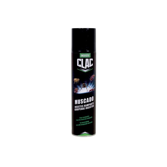 Muscado Kruipende Insecten
