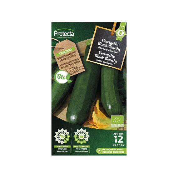 Protecta Courgette Black Beauty Fr-Bio-15