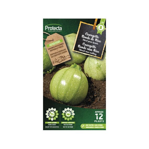 Protecta Courgette Ronde Van Nice