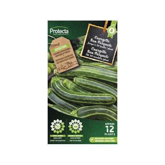 Protecta Courgette San Pasquale