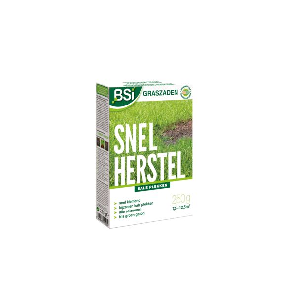 Bsi Graszaad Herstel 250 G