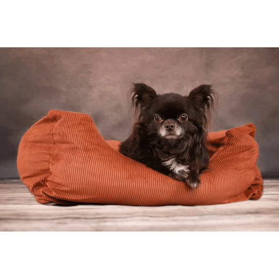 Mand Celeste Rechthoekig + Rits Cognac 65X50X20Cm