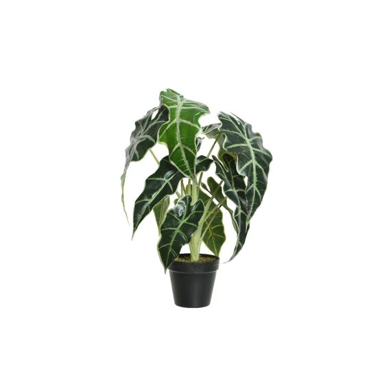 Alocasia Plastic L27-W27-H50Cm Groen