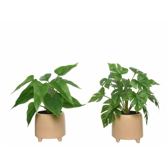 Plant Pe L11.50-W11.50-H28Cm Groen