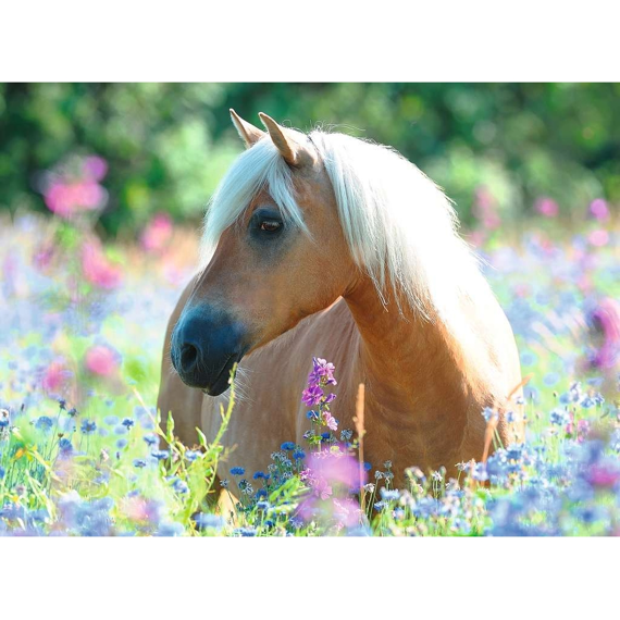 Ravensburger Puzzel 300 Stuks Paard Tussen De Bloemen
