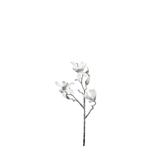 Magnolia Wit Flocked L43Cm